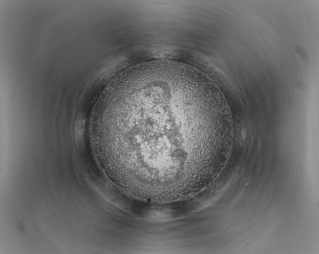 X0000112350263200908131434