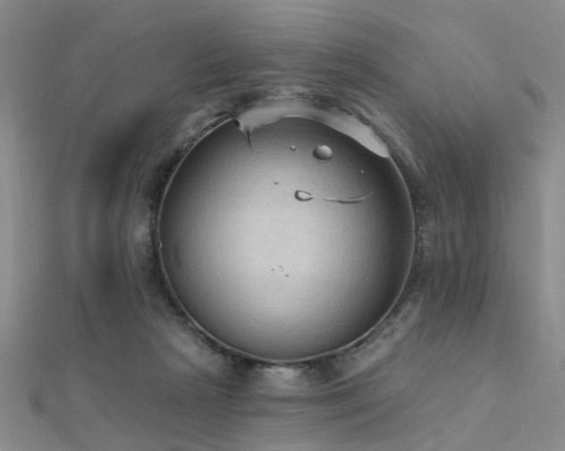 X0000112350265200908131434
