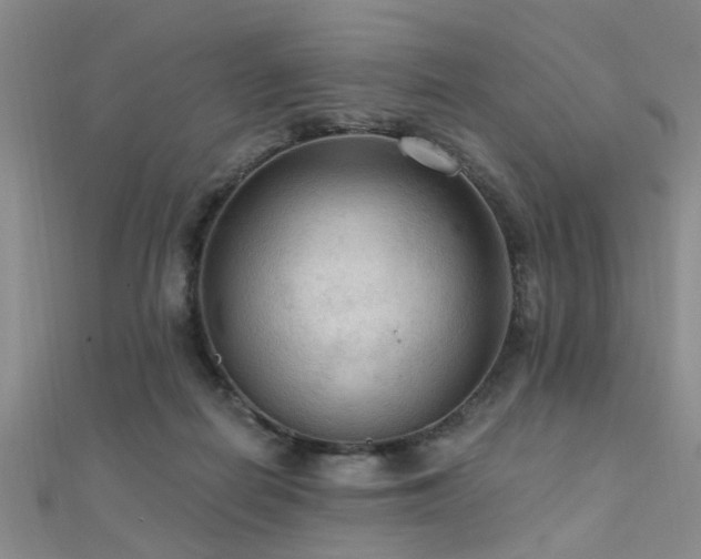 X0000112350266200908131434