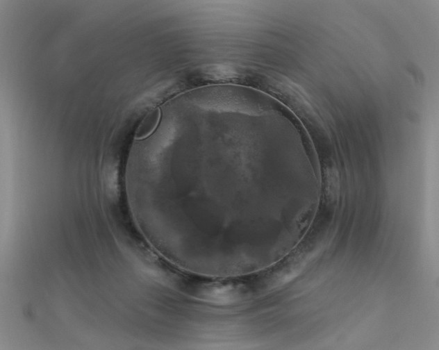 X0000112350267200908131434
