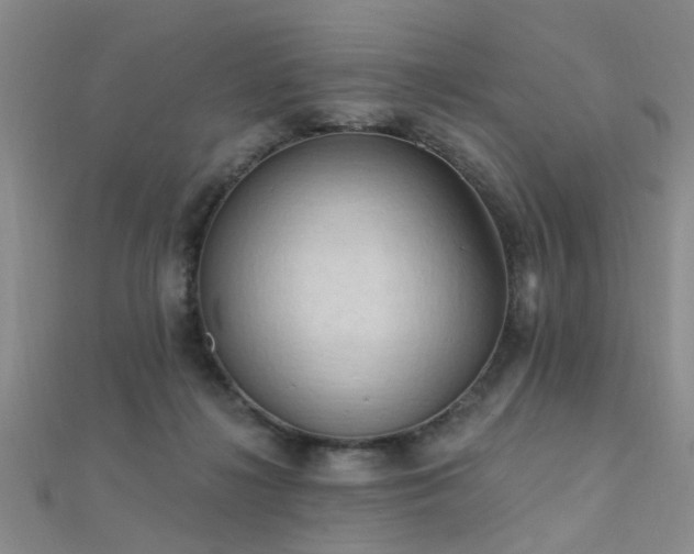 X0000112350268200908131434