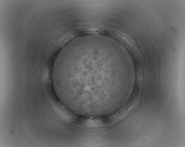 X0000112350270200908131434