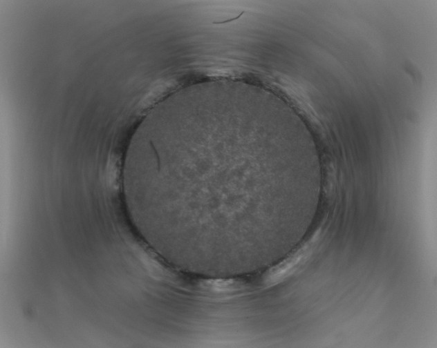 X0000112350273200908131435