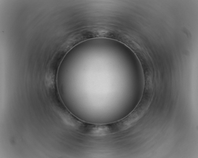 X0000112350274200908131435