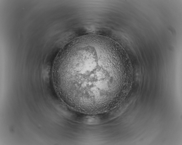 X0000112350275200908131435