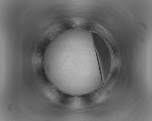 X0000112350276200908131435