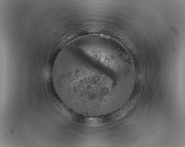 X0000112350277200908131435