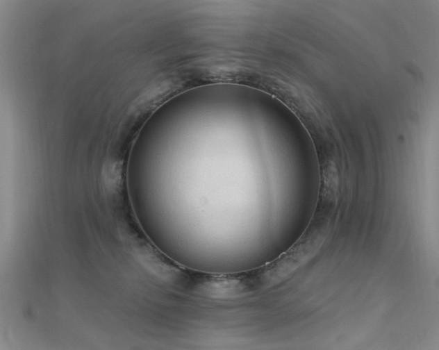 X0000112350278200908131435
