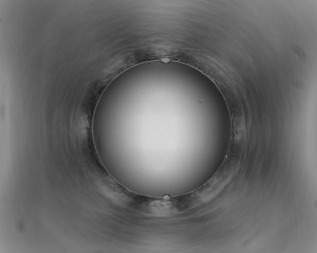X0000112350279200908131435