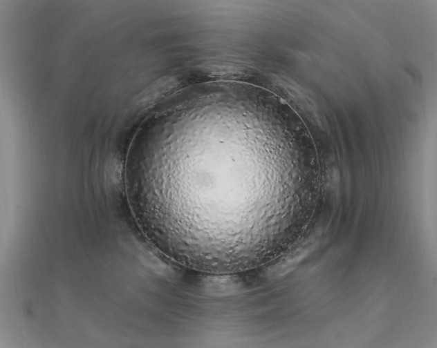 X0000112350281200908131435