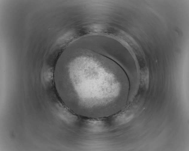 X0000112350284200908131435