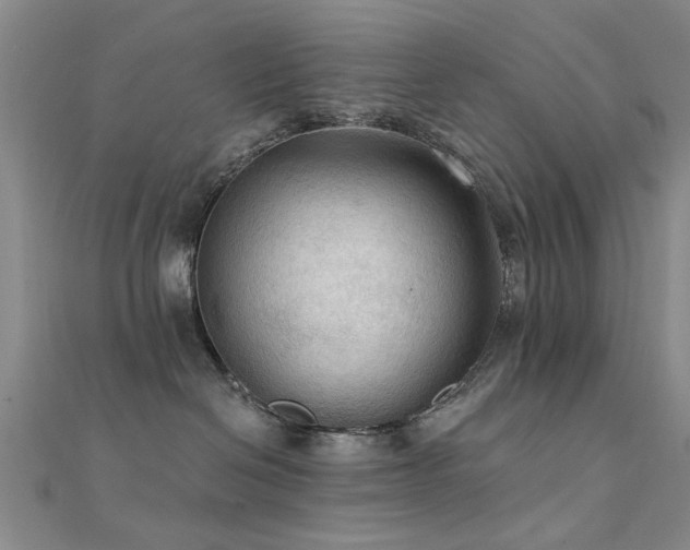 X0000112350286200908131435