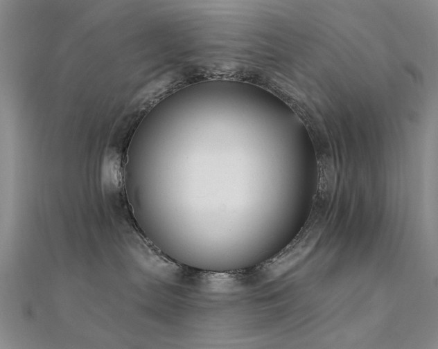 X0000112350287200908131435