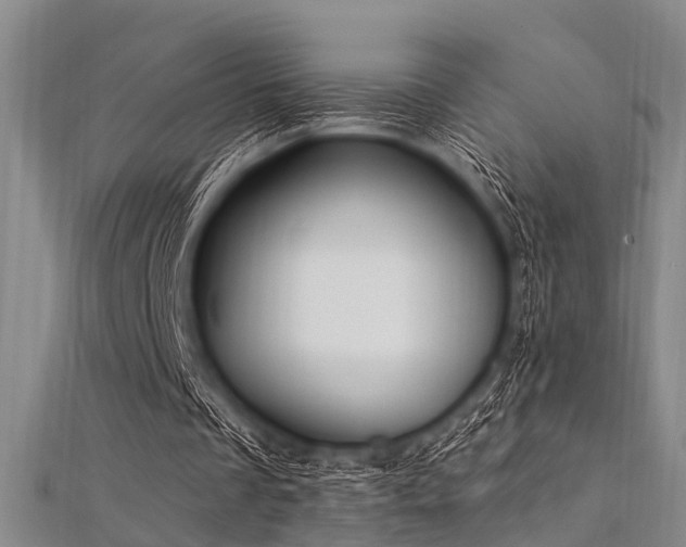X0000112350289200908131434