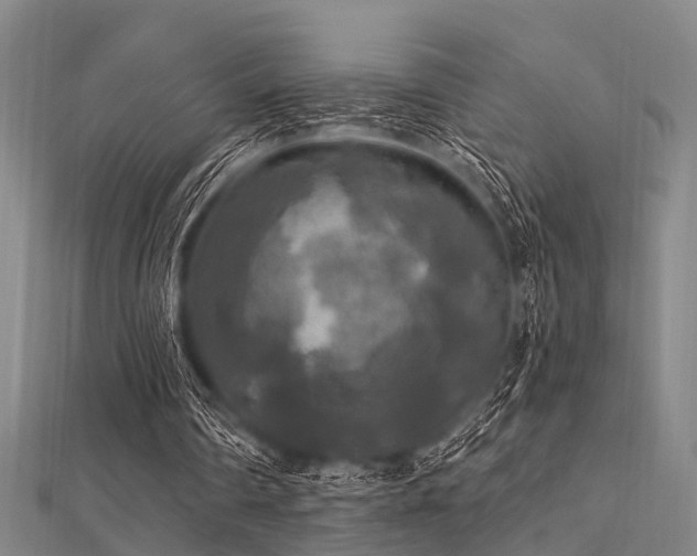 X0000112350290200908131434