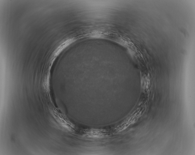 X0000112350292200908131434