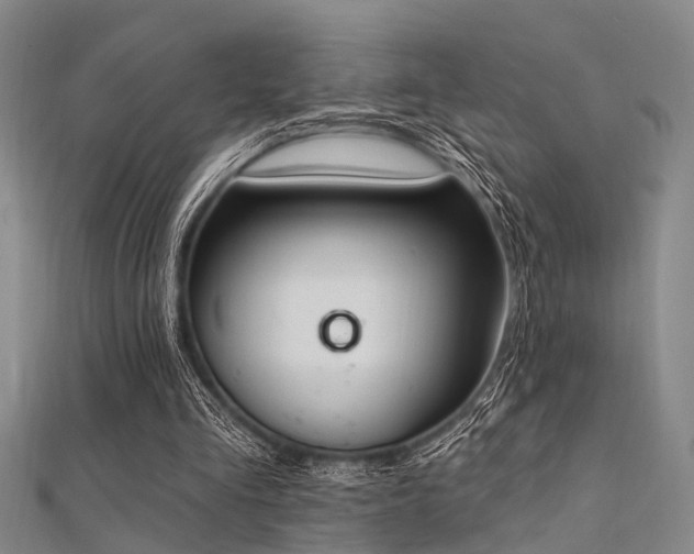 X0000112350293200908131434