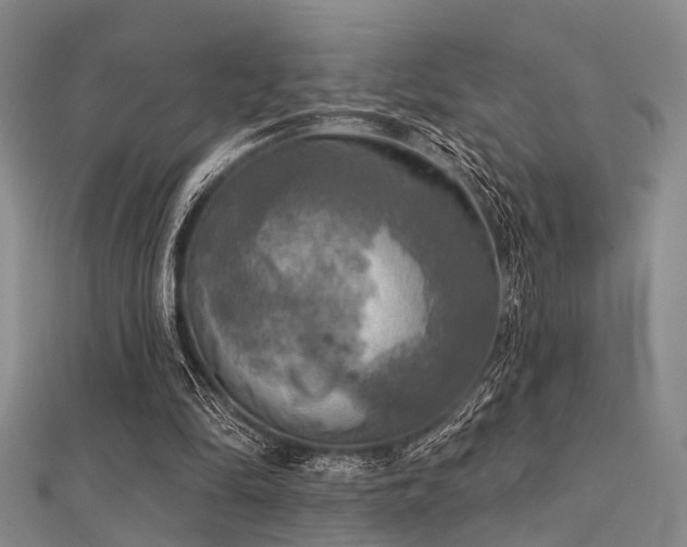 X0000112350294200908131434