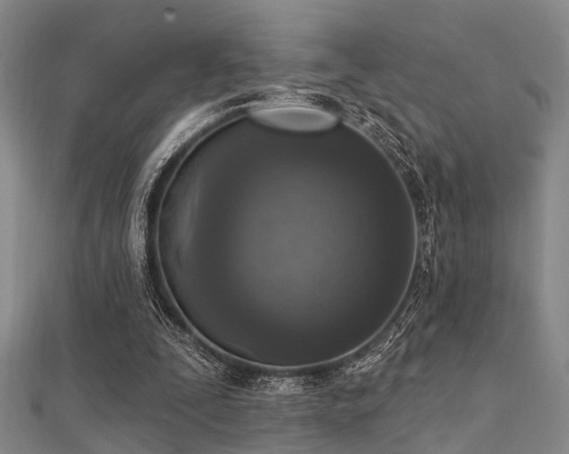 X0000112350295200908131434