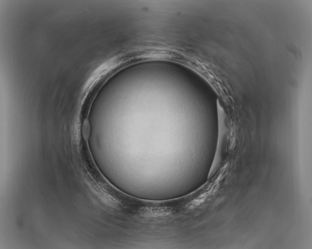 X0000112350296200908131434