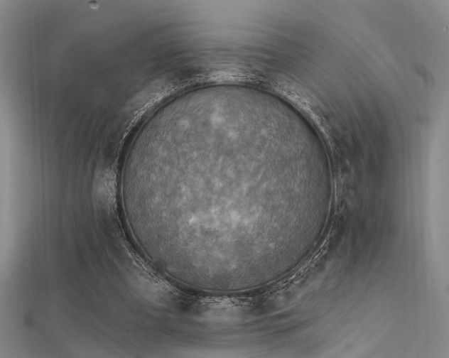 X0000112350297200908131434