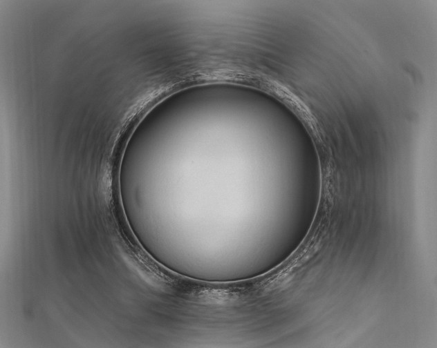 X0000112350298200908131434