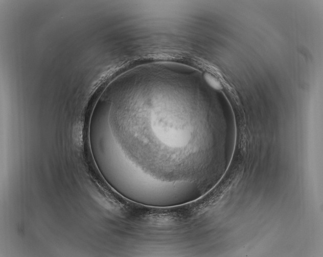 X0000112350299200908131434
