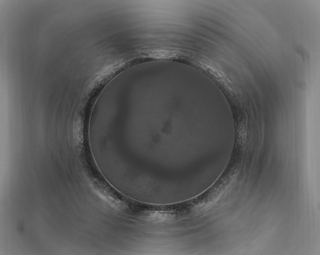 X0000112350303200908131434