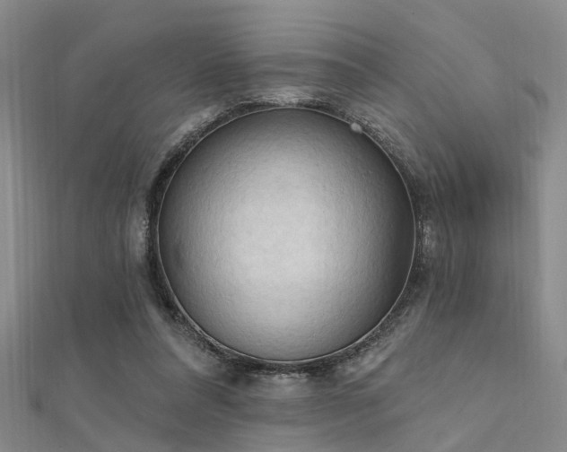 X0000112350304200908131434