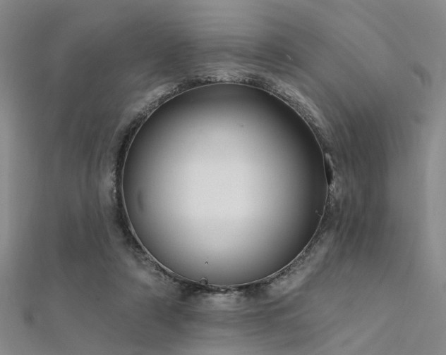 X0000112350306200908131434