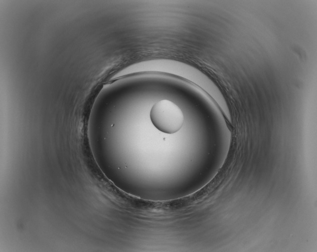 X0000112350308200908131434