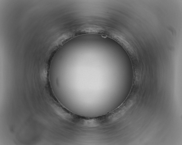 X0000112350309200908131434