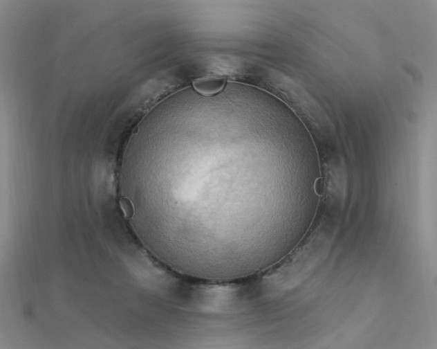 X0000112350313200908131434
