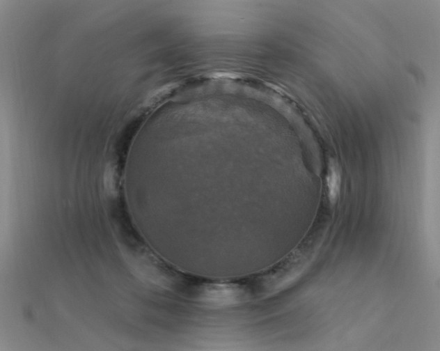 X0000112350316200908131434