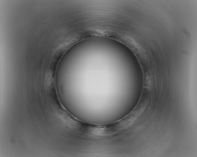 X0000112350318200908131434