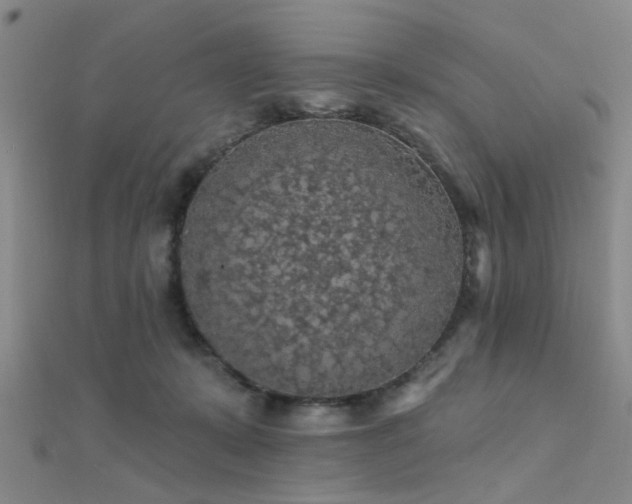 X0000112350319200908131434