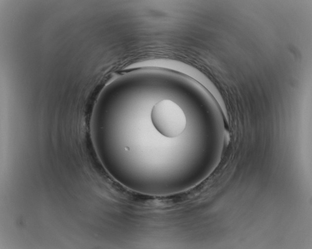 X0000112350320200908131434
