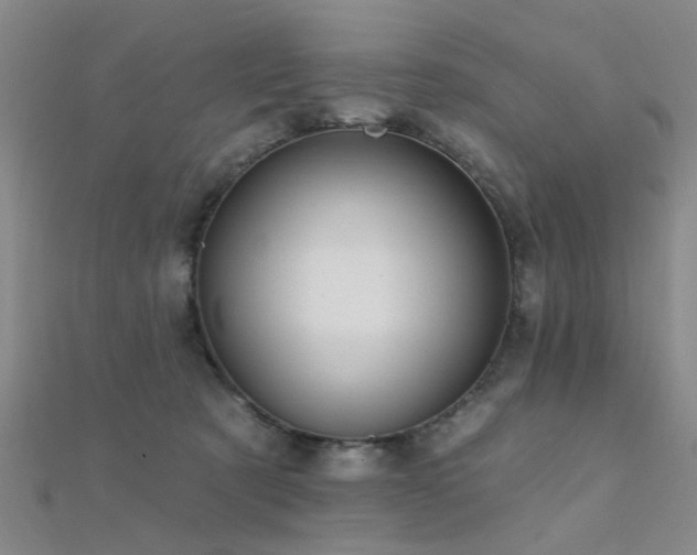 X0000112350321200908131434