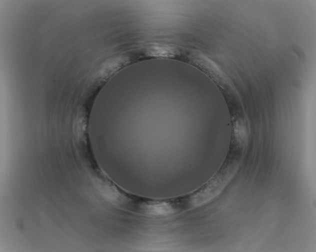 X0000112350322200908131434