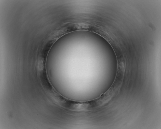 X0000112350323200908131434