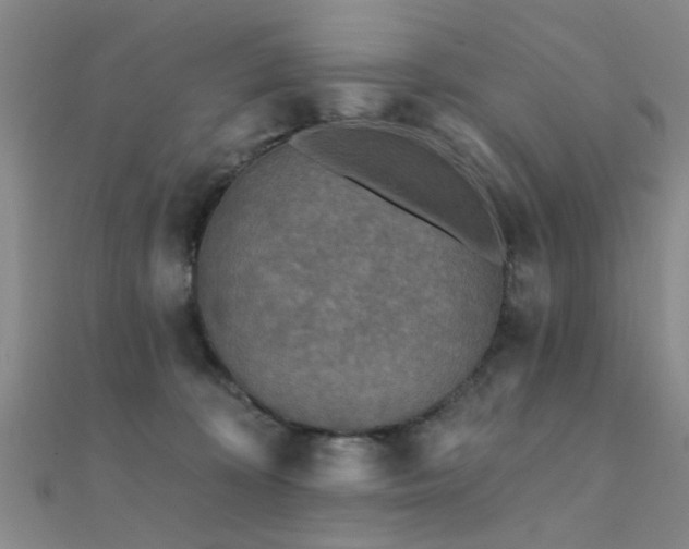 X0000112350324200908131434