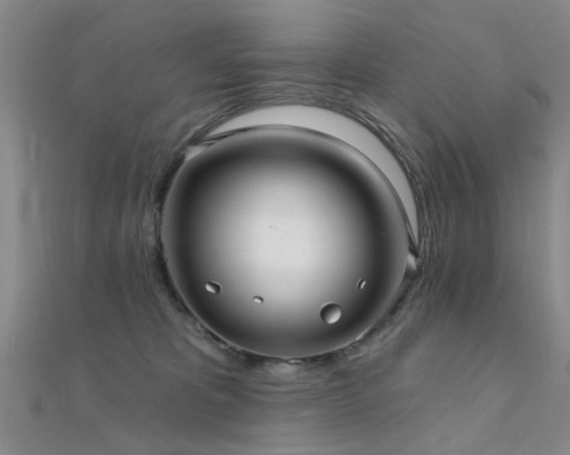 X0000112350325200908131434