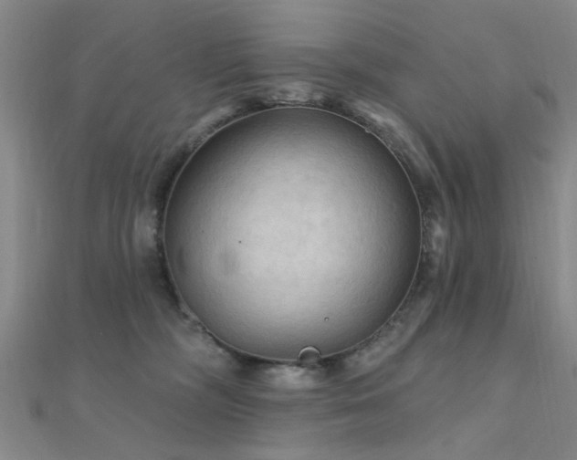 X0000112350326200908131434