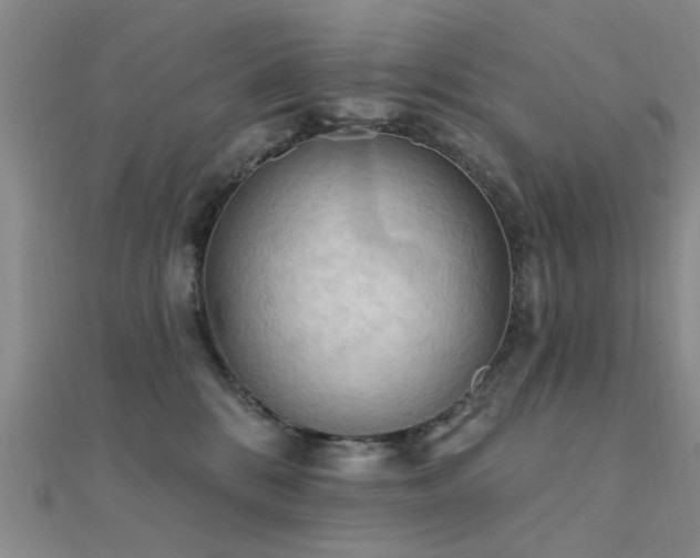 X0000112350328200908131434