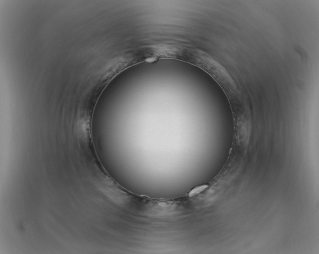 X0000112350329200908131434