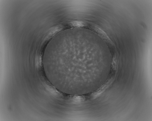 X0000112350330200908131434