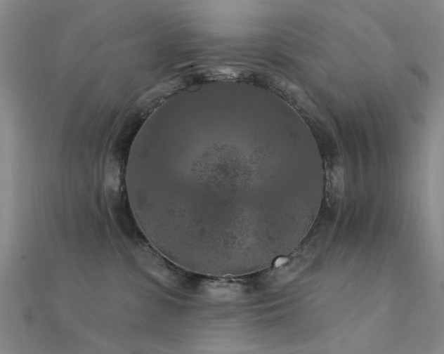 X0000112350331200908131434