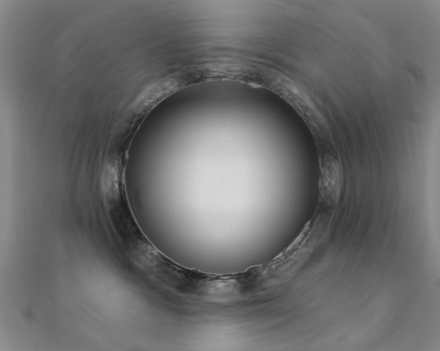 X0000112350333200908131434