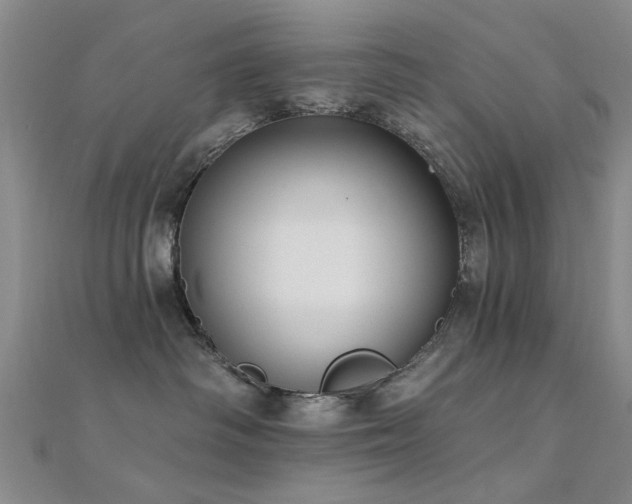 X0000112350334200908131434