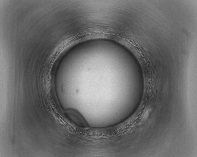 X0000112350338200908131433